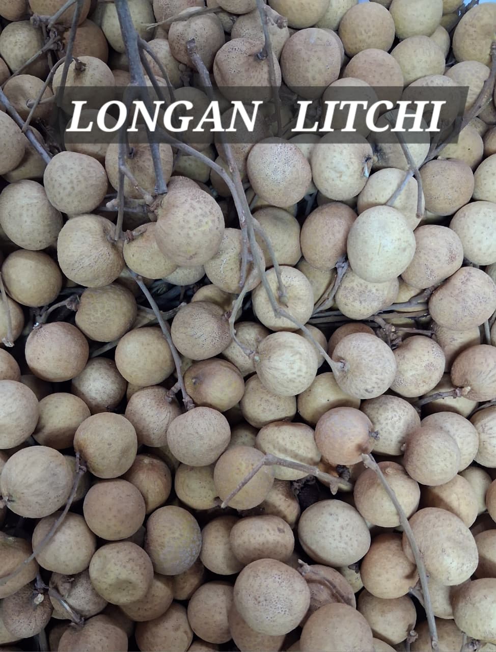 Longan Litchi