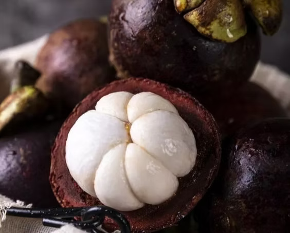 Mangosteen