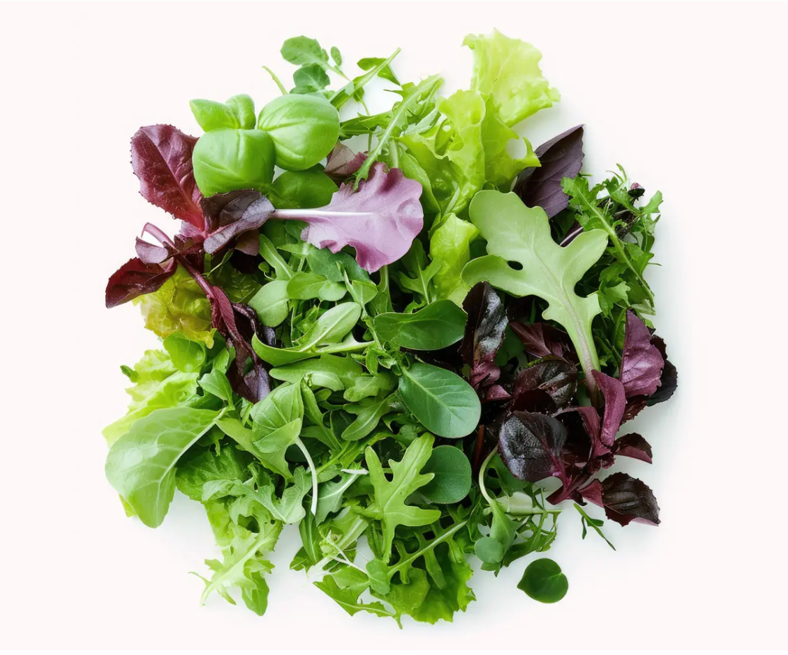 Lettuce Combo Mix (Romaine, Green, Lollo Rosso, Roquette) (100 g)