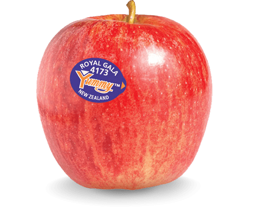 Apple - Royal Gala