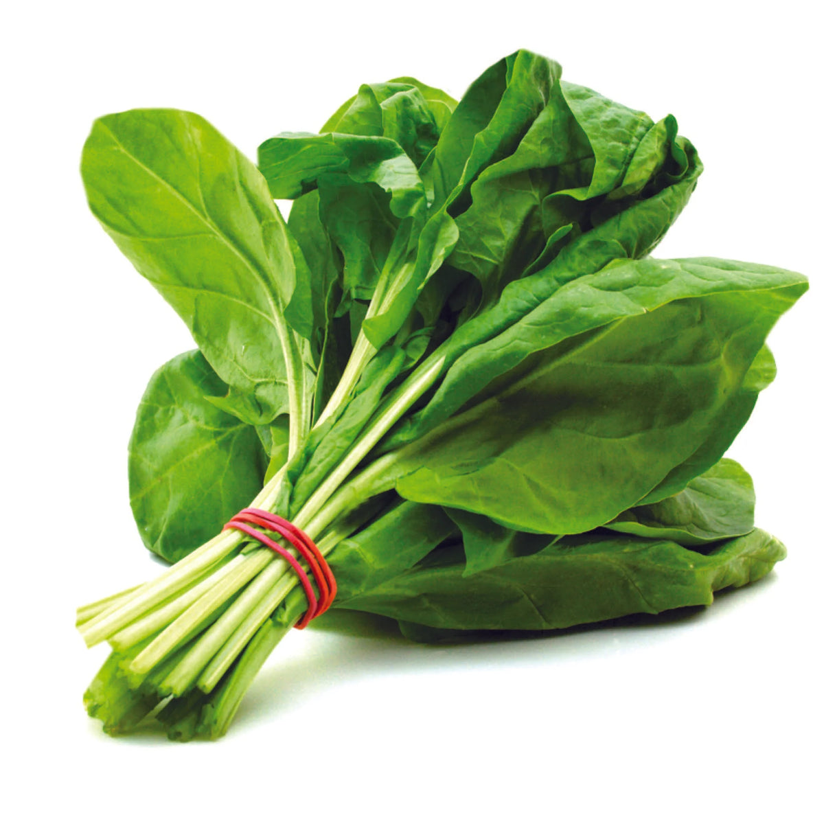 Spinach - Palak (100 g) (Root Cut)