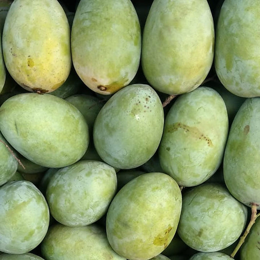 Langda Mango