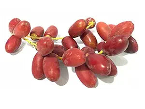 Fresh Dates Red (500 g)