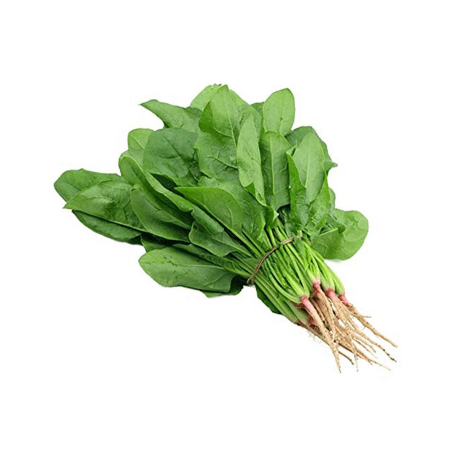 Bacchali Kura - Malabar Spinach (100 g)