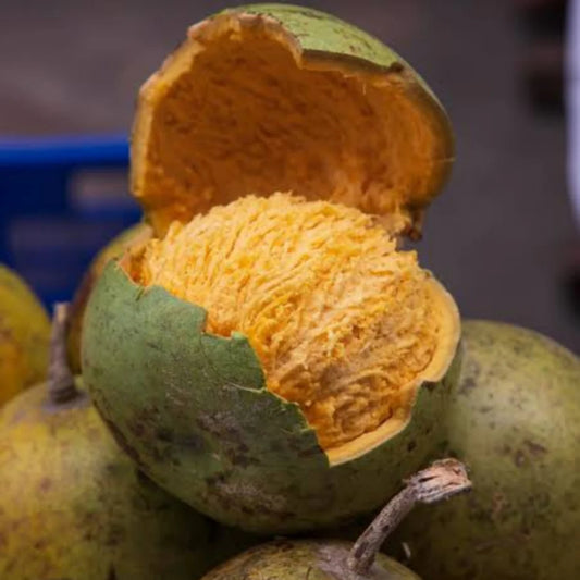 Bael Fruit