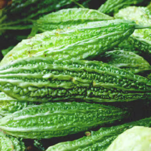 Bitter Gourd - Karela (250 g)