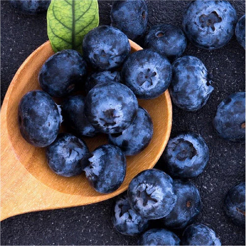 Fresh Blueberry [125 g]