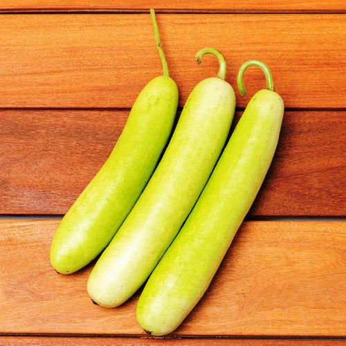 Bottle gourd - Kadu Big