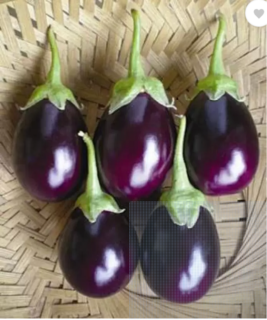 Brinjal - Round Purple [Nagpur] (500 g)