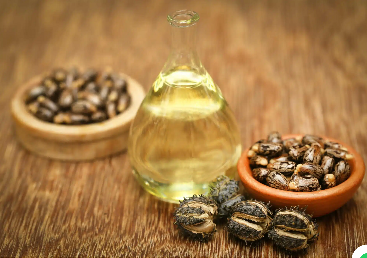 Castor Oil [100 ml] (Cold Wood Pressed)