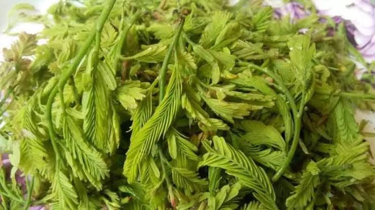 Chinta Chiguru Tender Tamarind Leaves (100 g)