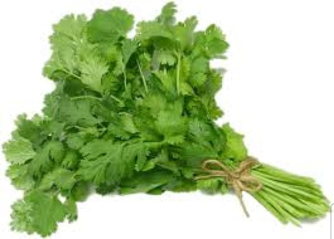 Coriander - Kothmir (100 g)