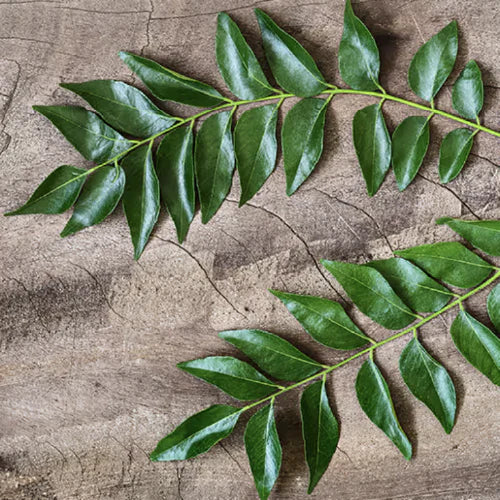 Curry Leaves - Karvepak (50 g)