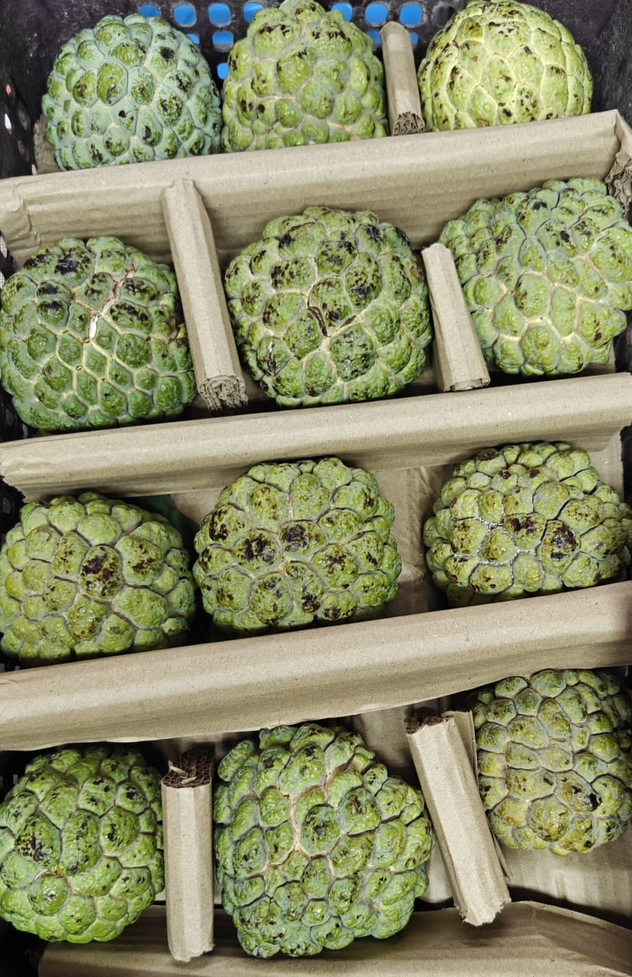 Custard Apple - Sitaphal (Kg)