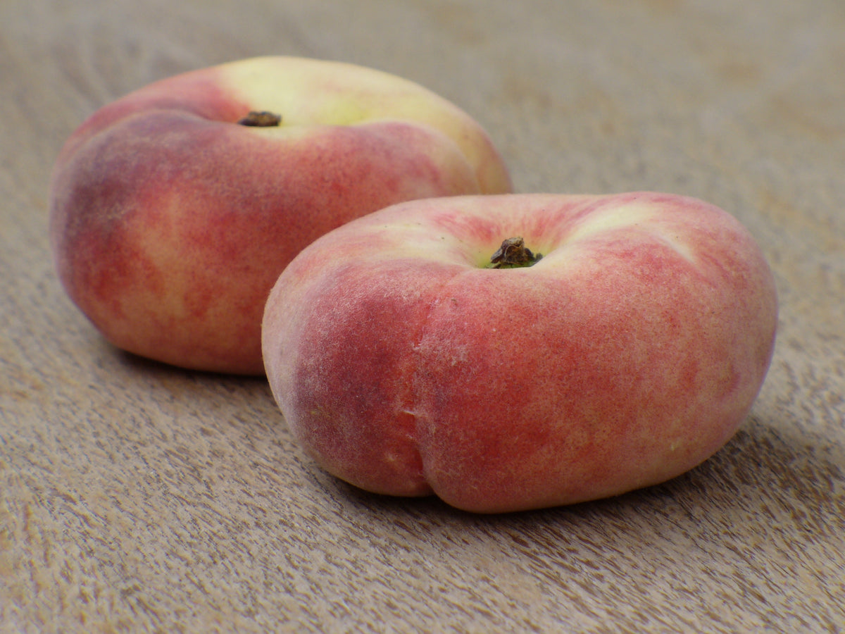 Doughnut Peach