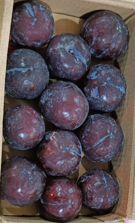 Fresh Plum Deep Red [Kashmir] (500 g)