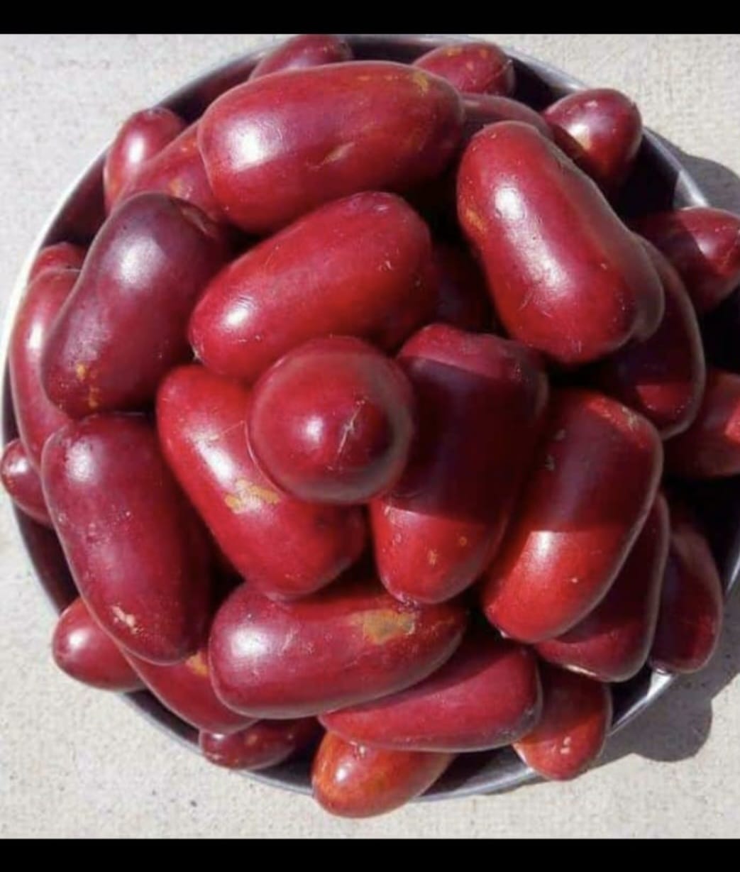 Fresh Dates Red (500 g)