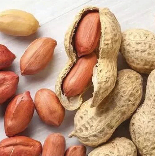 Groundnut with Shell [Fresh] (500 g)