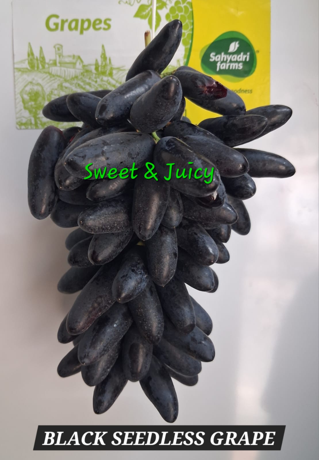 Grapes Black [Seedless] (500 g)