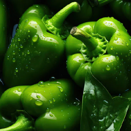 Capsicum - Green (250 g)