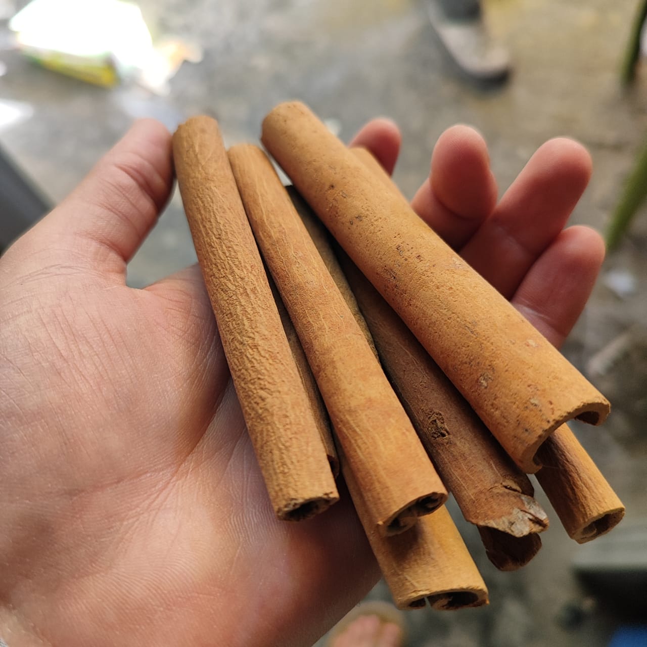 Kashmiri Cinnamon Stick [Dal Chini] [100 g]