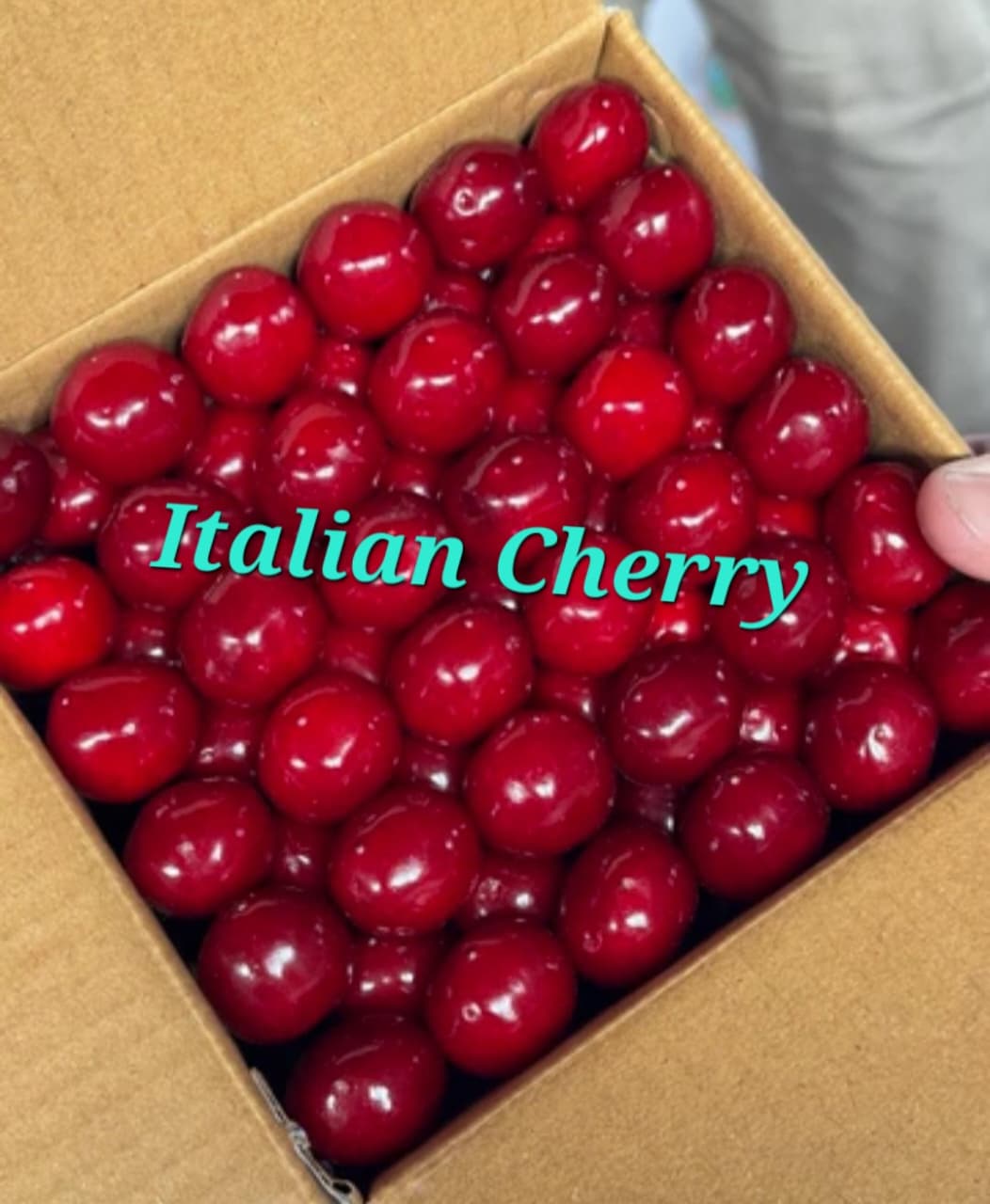 Fresh Cherry