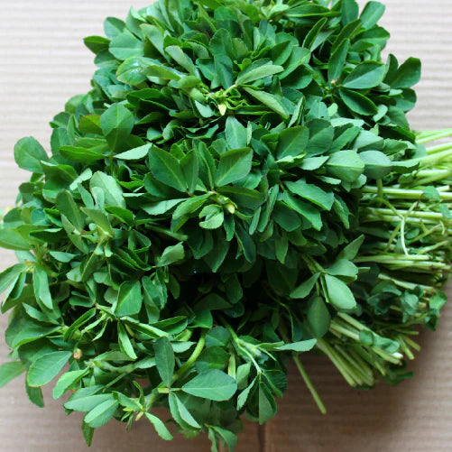 Fenugreek - Methi (100 g)