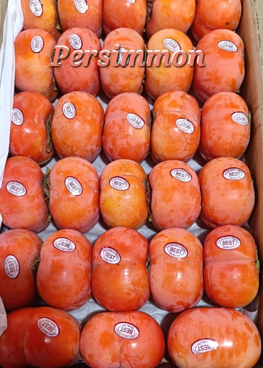 Persimmon