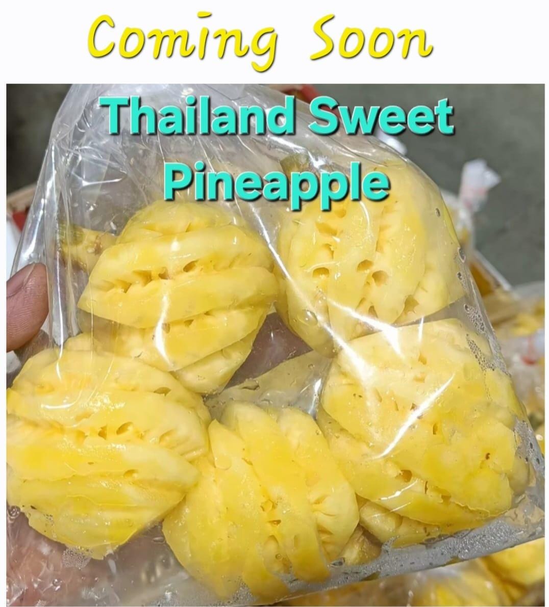 Pineapple [Thailand] (500 g)