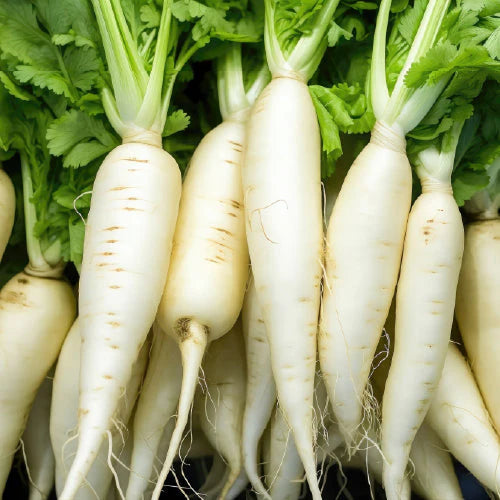 Radish - White (500 g)