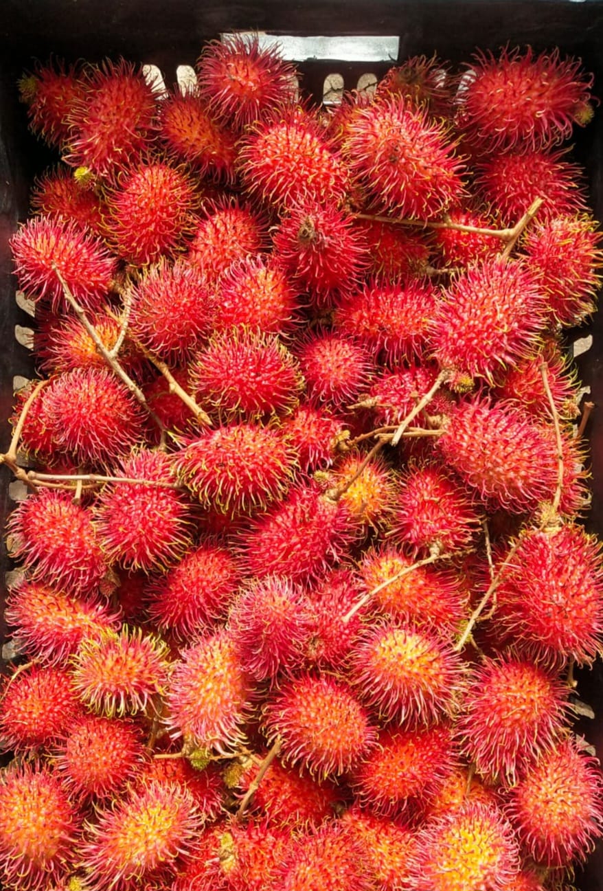Rambutan [500 g]