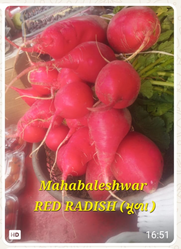 Radish - Red [Round, Small]