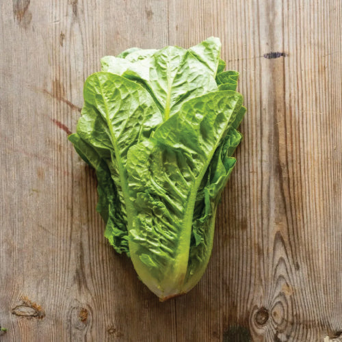 Lettuce - Romaine (100 g)
