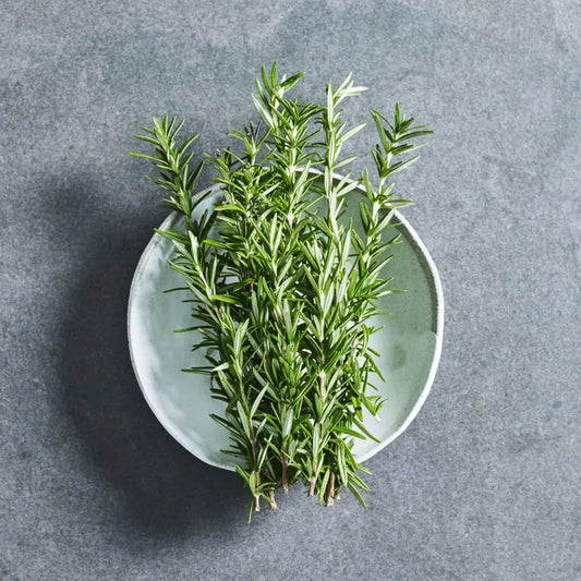 Fresh Rosemary (20 g)