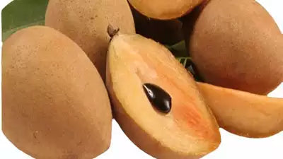 Sapota - Chikoo [Oval] (500 g)