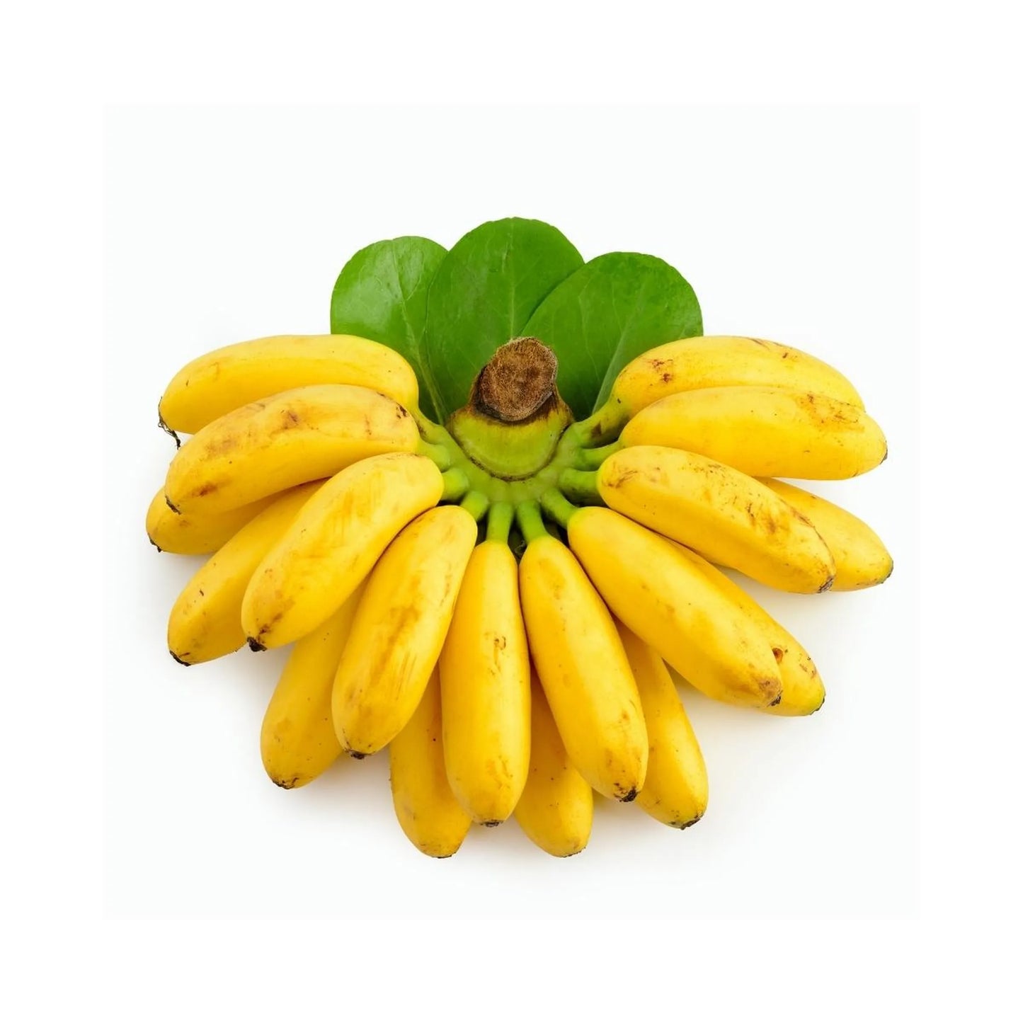 Banana - Elaichi / Yelakki / Karpuravalli (500 g)