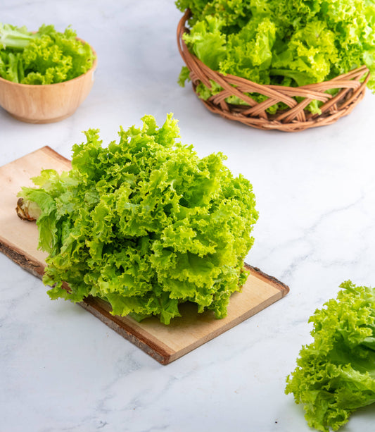 Lettuce - Green (100 g)