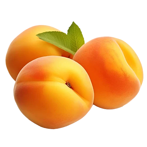 Fresh Apricot [Mini]