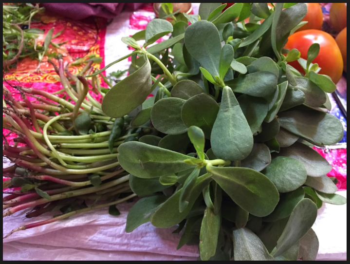 Gangabavi, Kulfa, Purslane [100 g]