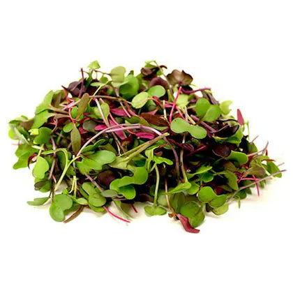 Microgreens - Mix (50 g Box)