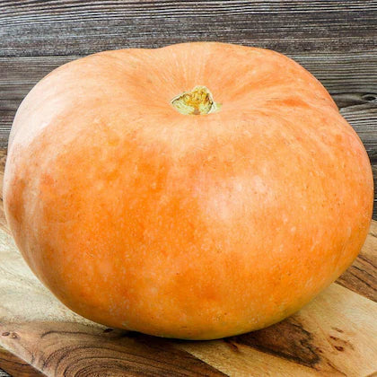 Pumpkin - Orange (500 g)